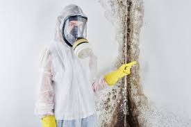 Mold Odor Removal Services in Lake Morton Berrydale, WA